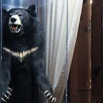L'orso Scuro