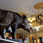 L'orso Scuro *