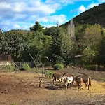L'orso Scuro Alojamento de Acomodação e Pequeno-almoço *