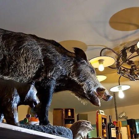 L'orso Scuro *