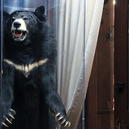 L'orso Scuro