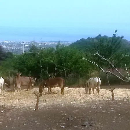 L'orso Scuro Panzió Trecastagni