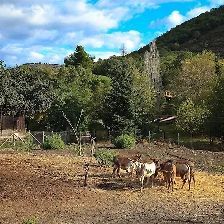 L'orso Scuro Bed & Breakfast *