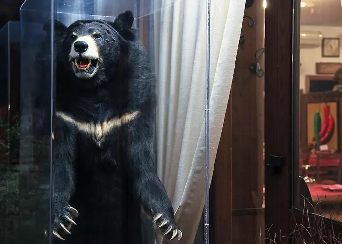 L'orso Scuro