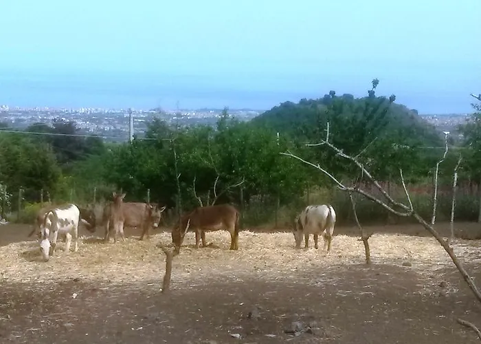 L'orso Scuro Отель типа 