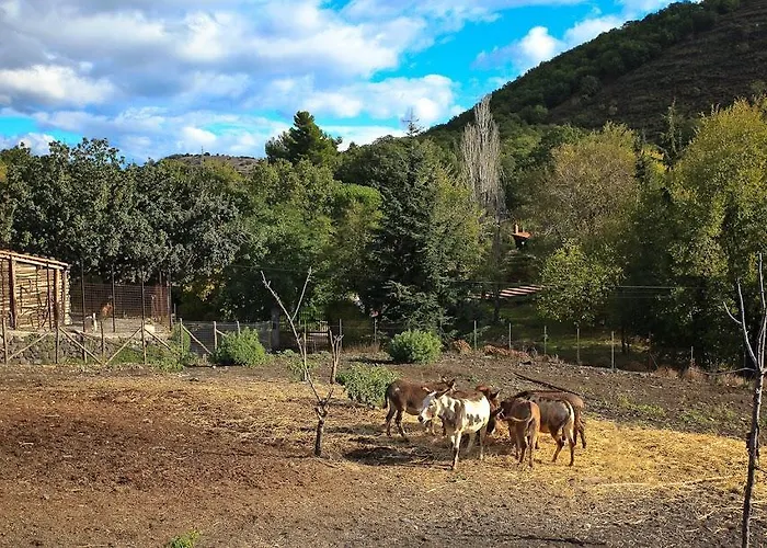 L'orso Scuro Отель типа 